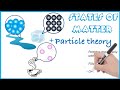 States of Matter and Particle Behavior