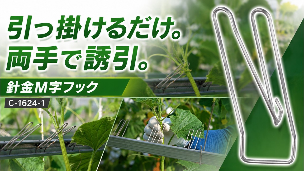 きゅうりの吊るおろし誘引に【 針金M字フック C-1624 】｜TAKIGEN