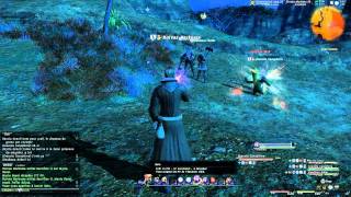 Final Fantasy XIV: Cactuar Jack (low rank NM)