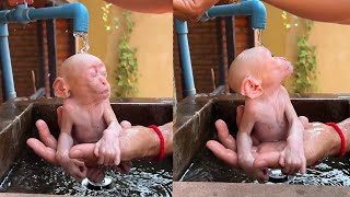 First Time Ever Dad Learn To Take Bathing For Cute Adorable Baby Minea