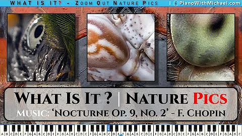 What Is It? w/ Frederic Chopin's 'Nocturne in E-flat major, Op. 9, No. 2'