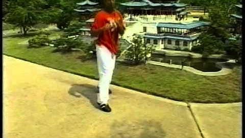 Jason Tankson-Bourelly teaches Backfist Reverse Punch