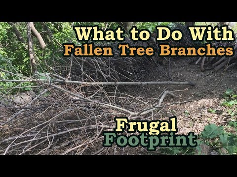 Video: How To Get Permission To Cut Branches