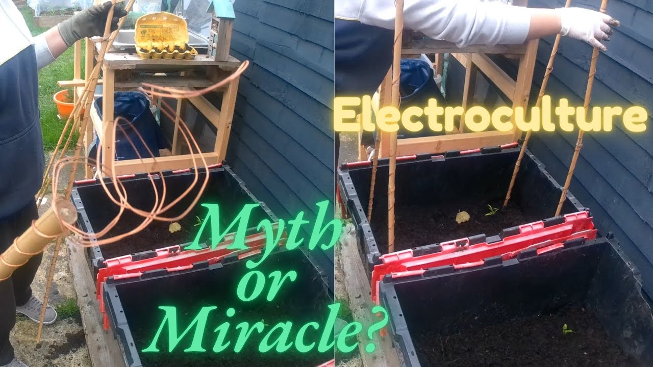 Harnessing Electricity to Grow Crops Faster & Cheaper