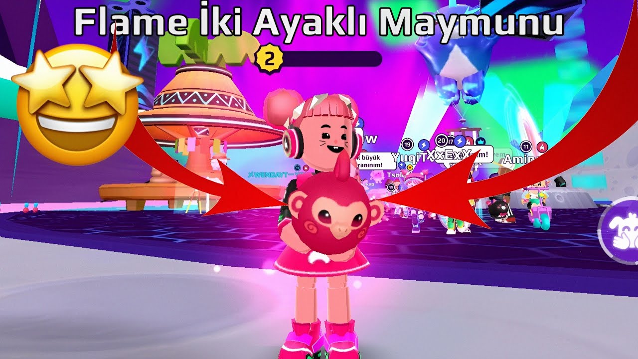 PK XD SİZLERLE PET TAKASI ! FLAME MAYMUNUM OLDU YAAA !! | PK XD