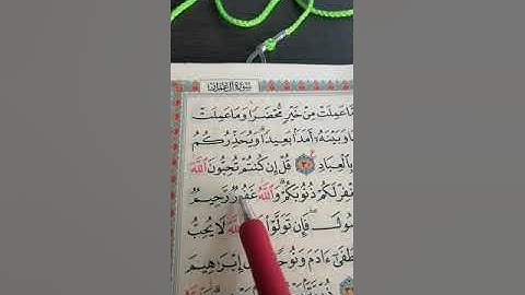 سورة آل عمران من الآية 30 إلى الآية 37