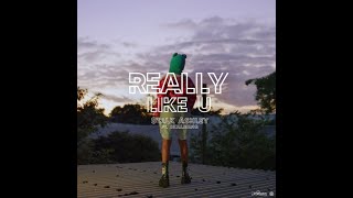 Stalk Ashley & Skillibeng - Really Like U (Official Audio)