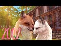 Wildcraft: Fox Love Story ~ 2002 [Music Video]