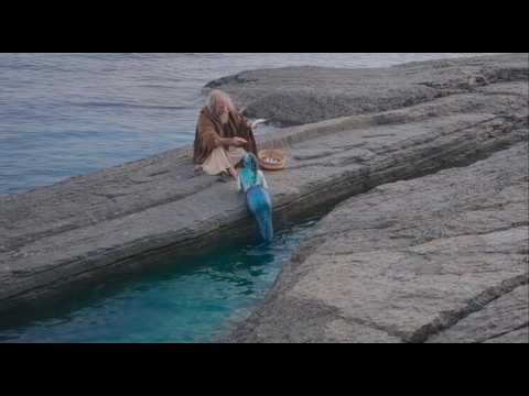 Divers Left the Area After Discovering This Near the Rocks