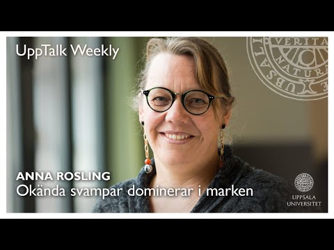 Video: Vilken betydelse har organiskt material i marken?