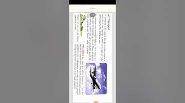 Ch-19 Our Transport 🚆