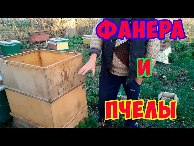 Изготовление улья: последовательность действий