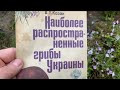 С утра после дождика в лес! Взяли с собой главного грибника! Грибов 🍄‍🟫полно,набрал полную корзину!