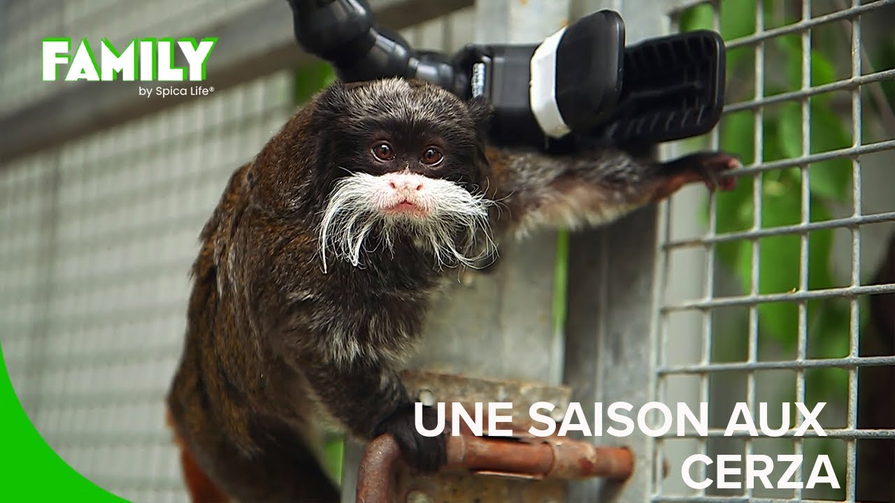 Une saison au cœur du Cerza : le plus incroyable zoo de Normandie