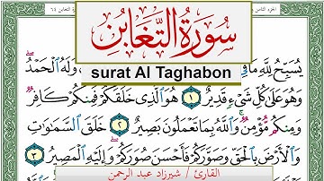 سورة التغابن شيرزاد عبد الرحمن طاهر Surah Al Taghabon Sherzad Taher برواية حفص عن عاصم