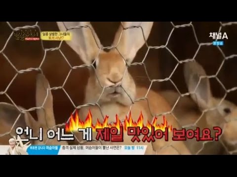 이승연과 탈북미녀들, 달콤 살벌한 토끼 사냥_채널A_잘살아보세 39회