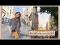 ОБМАН В СТАМБУЛЕ, Сезон инжира и Город Кошек / #ТОТСАМЫЙВЛОГ