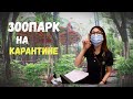 Зоопарк Закрыт на Карантин | Пустой парк #34