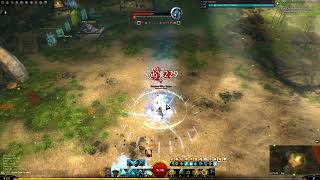 Archived 011426 2 On Dragonhunter Power 34.5K Guild Wars 2