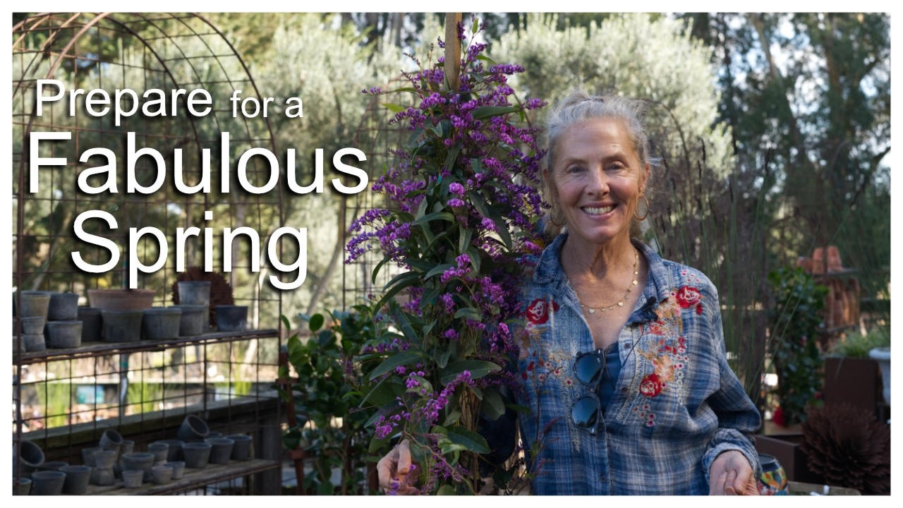 ❤️ February Garden Fun: Prepare for a Fabulous Spring! 🌼🌞 #gardenadvice #gardentips #plants #zone9b