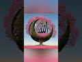 Wo Mera Nabi he#naatsharifnewnaatsharif #islamicprophet #trending #viralvideo