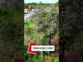 New 24 acres listing…