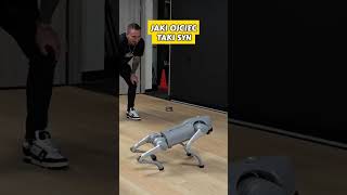 JAKI OJCIEC TAKI SYN #ISAMU #MAJSZI #DC