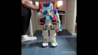 Humanoid Robot NAO V5 Demo Video #1