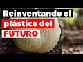 ¿Es el Micelio el plástico del futuro?