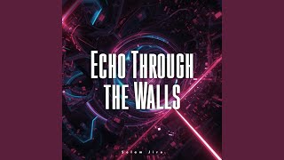 Echo Through the Walls