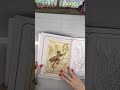 ✨ASMR Flip Through ✨ Enchanting Fairies Coloring book #asmr #adultcoloring #coloring #cute #drawing