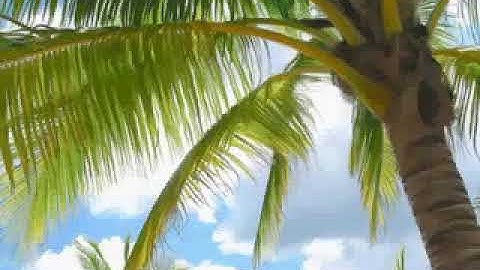 سورة الشورى بصوت المبدع هزاع البلوشي صوت جميل جدا