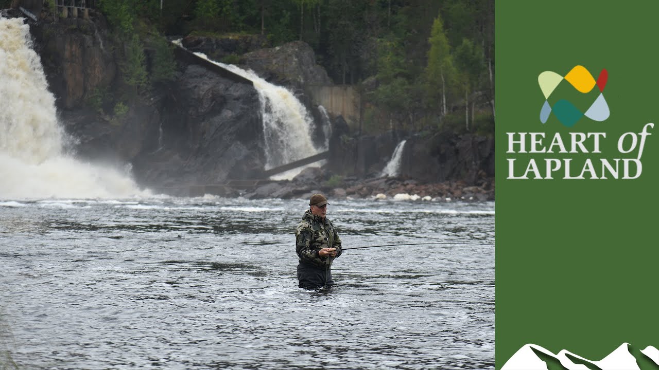 Scottish vs Swedish salmon fishing
