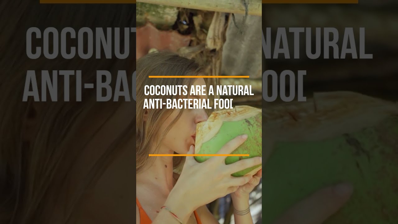 Champi For Your Teeth Coconut Is Truly A SUPER FOOD 