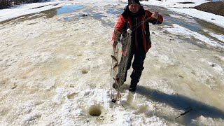 ВЕСНА ПРИШЛА-РЫБА ЗАШЕВЕЛИЛАСЬ! ПОЛОСАТЫЕ АРБУЗЫ НА ХАПУГУ-ХЛОПОК.Жарим мясо на льду,закрываем сезон