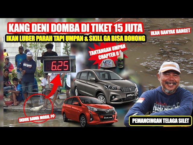 MANCING MOBILAN 15 JUTA KOMPLIT‼️ KANG DENI DOMBA BAWA INDUK 6.25 KG‼️ BAWA PULANG MOBIL ?? class=