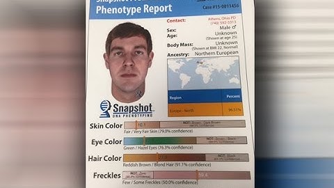 Athens Police release new sketch of sexual assault suspect