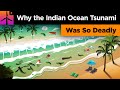 Why The Indian Ocean Tsunami Was So Deadly 