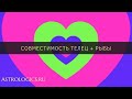 Совместимость знаков Телец и Рыбы