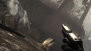 Call of Duty Ghosts - Wolves Attack