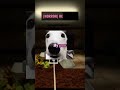 The WORST HOTEL EVER 🤬👻 #roblox #shorts