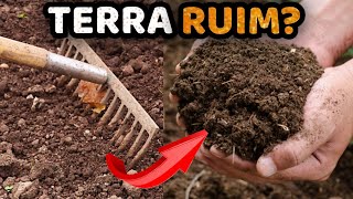 Como Deixar Qualquer Terra Boa para o Plantio – Guia Definitivo