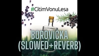 Borovička - (Slowed Reverb) | CJ's Music