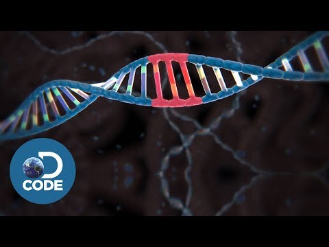 Could Smallpox Ever Come Back?