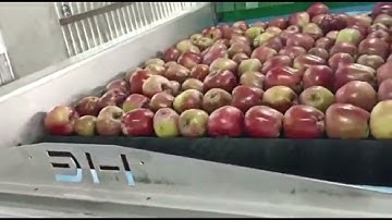 Installation -  2 Lane Apple Sorting Machine in Kashmir, Akhal, Pulwama 2023