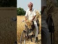 Garib Nahi, Mehnati Kisan 🚲🌾#Kisan #Farmer #Motivation #VillageLife #Desi #HardWork