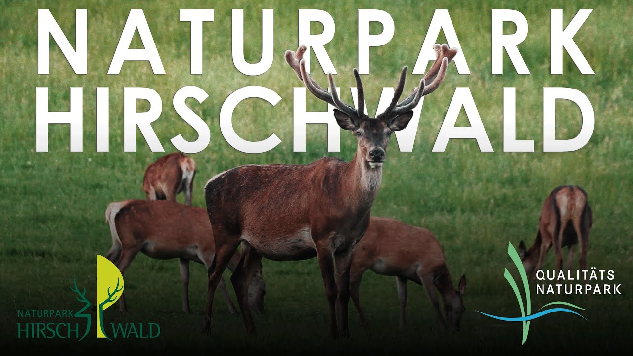 Naturpark Hirschwald Imagefilm 2021 - Bei uns kumma d´ Leit zam!
