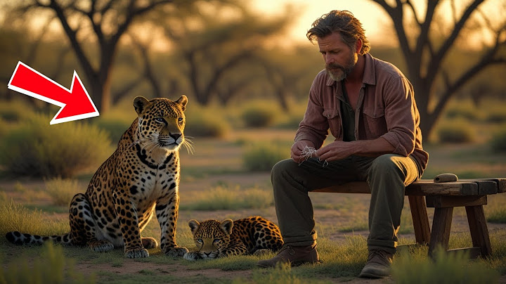 JAGUAR SAUVAGE DEMANDE DE L’AIDE POUR SAUVER SON PETIT — ET CE QU’IL A FAIT A TOUT TRANSFORMÉ