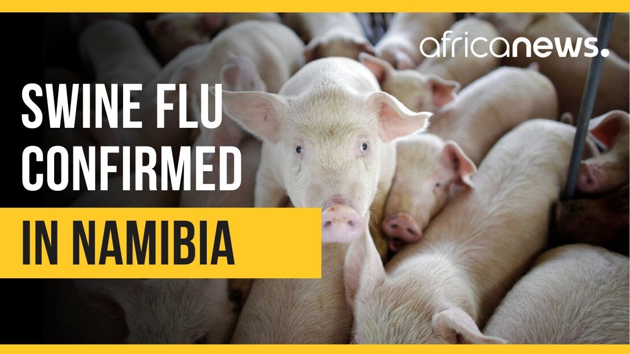 Namibia confirms 54 cases of swine flu - health ministry | Africanews ...