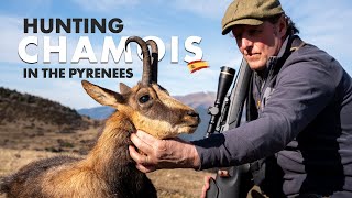 Hunting Chamois in the Pyrenees